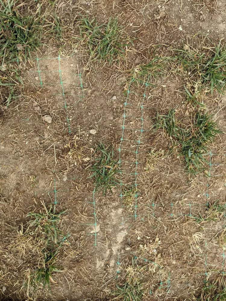 Professional landscape design with custom design in Indianapolis, IN by Ameri-Turf