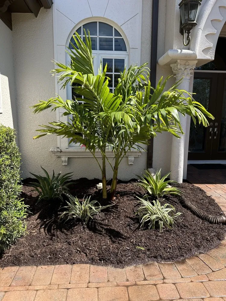 Reliable outdoor landscaping in Bonita Springs, FL - America Grow Landscape & Lawn Care