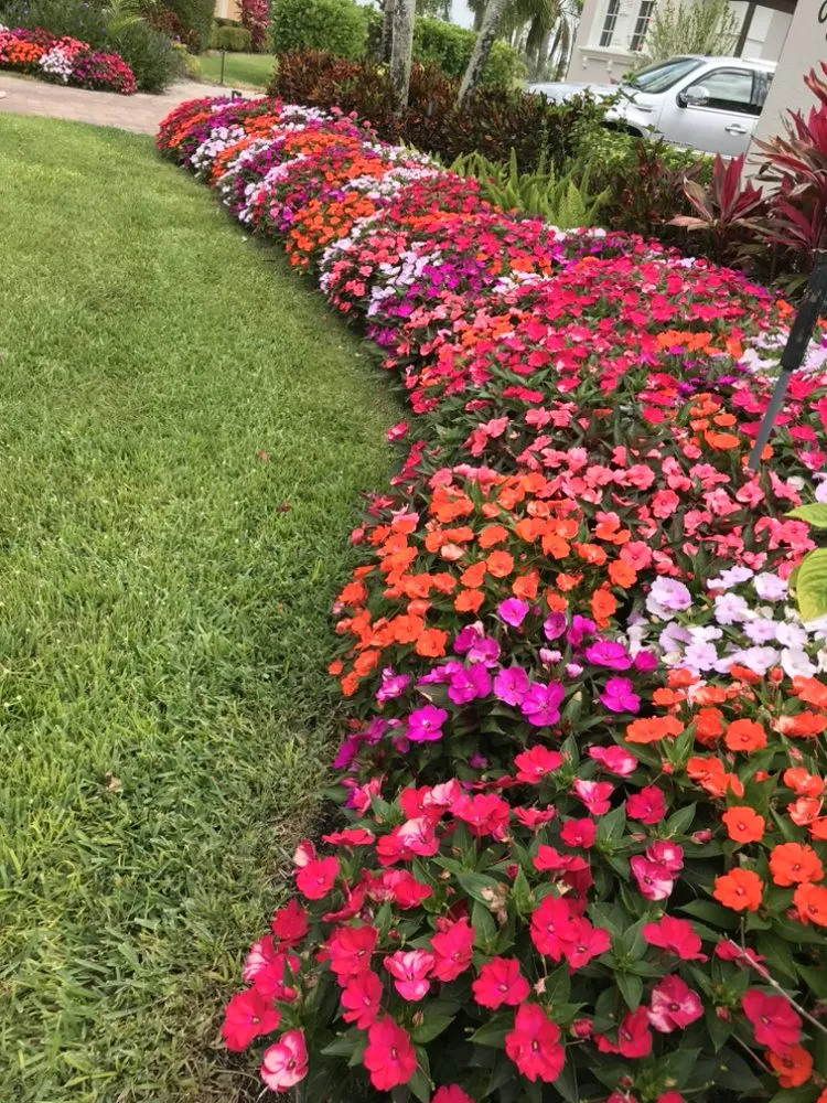 Affordable lawn care service in Bonita Springs, FL by America Grow Landscape & Lawn Care