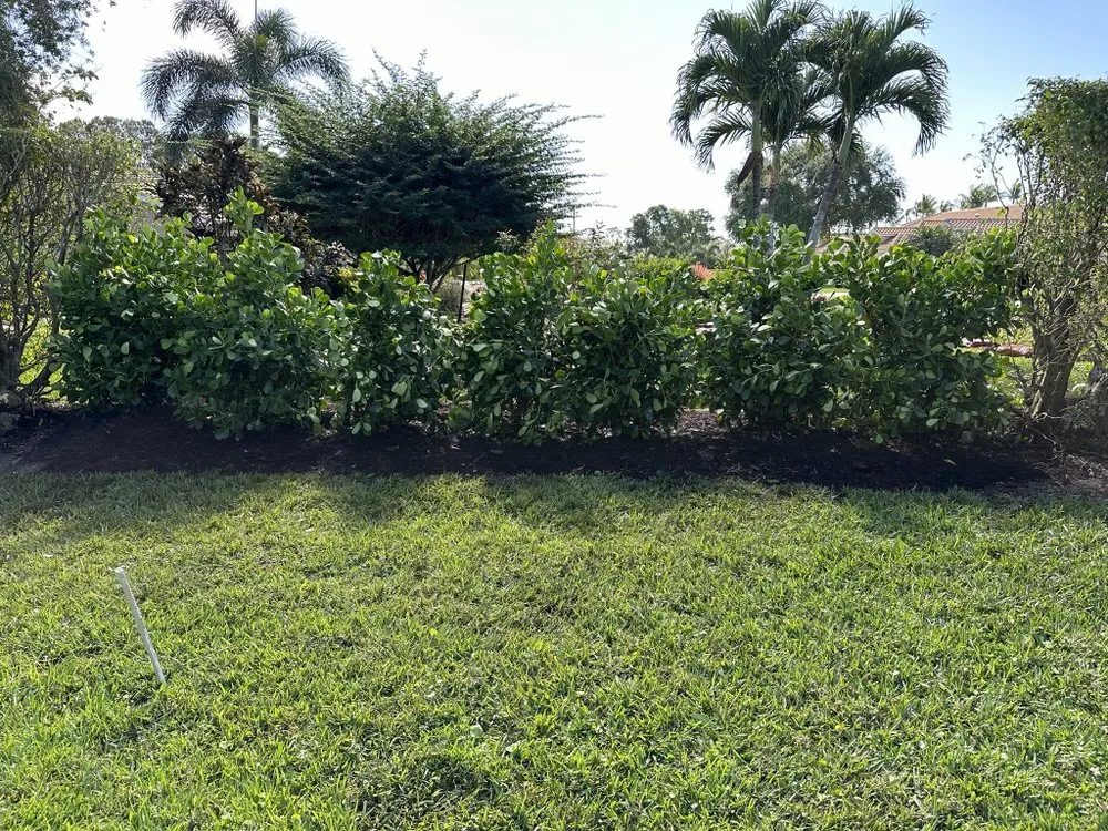Reliable landscape installation for residential properties in Bonita Springs, FL by America Grow Landscape & Lawn Care