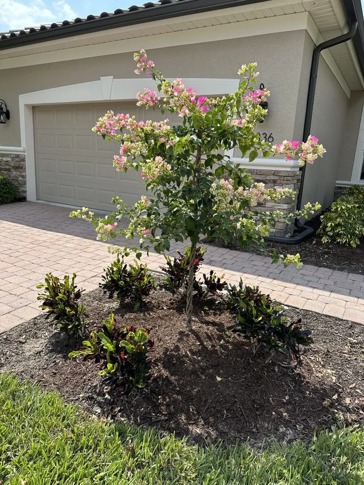 Professional yard maintenance for year-round maintenance across Bonita Springs, FL - America Grow Landscape & Lawn Care