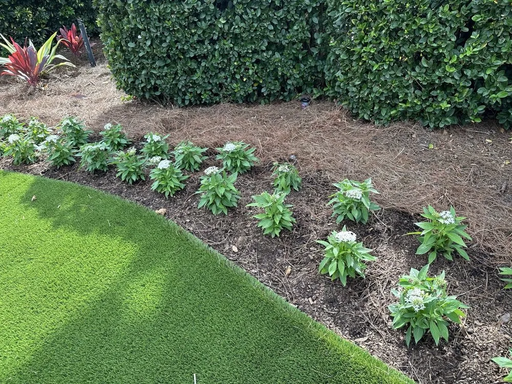 Trusted outdoor landscaping experts serving Bonita Springs, FL - America Grow Landscape & Lawn Care