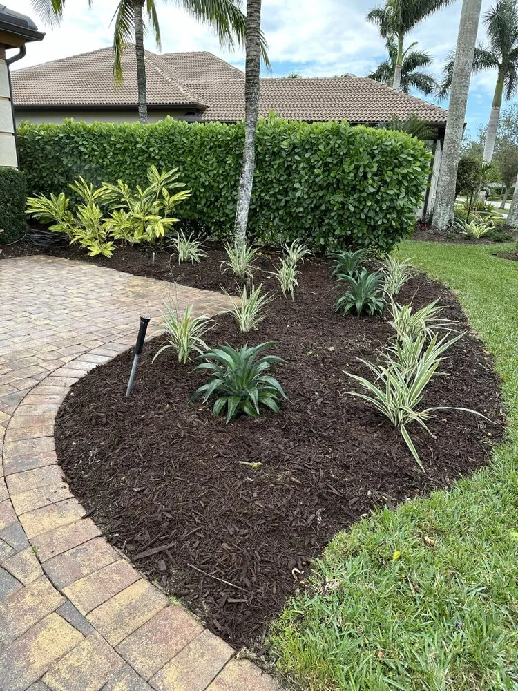 Trusted lawn care service in Bonita Springs, FL by America Grow Landscape & Lawn Care