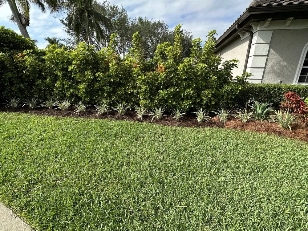 Local lawn care service near you across Bonita Springs, FL - America Grow Landscape & Lawn Care