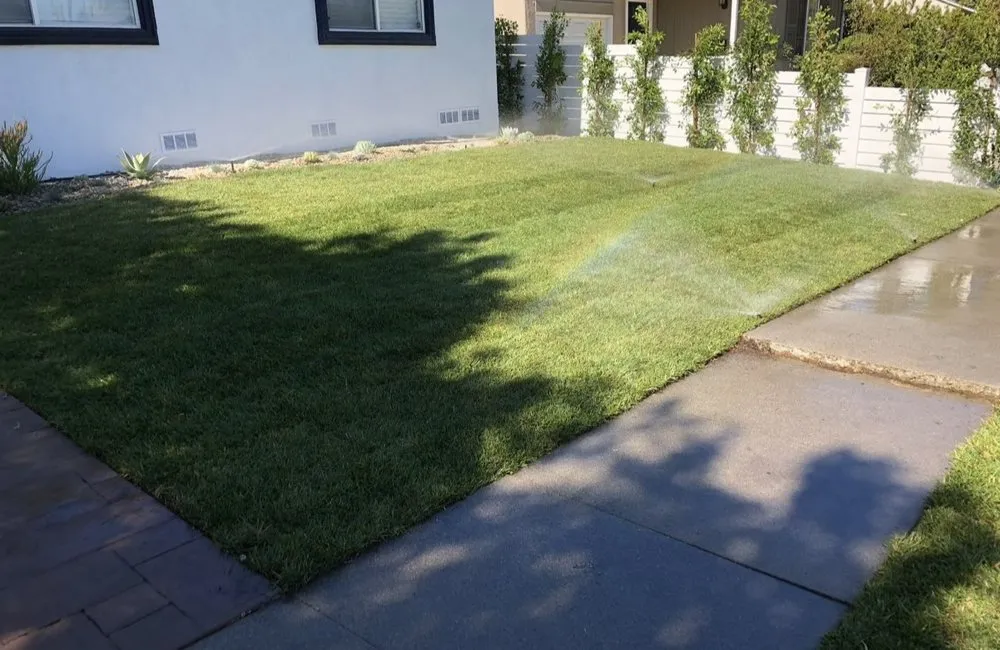 Top-rated yard cleanup service in Camp Pendleton, CA by America Landscape