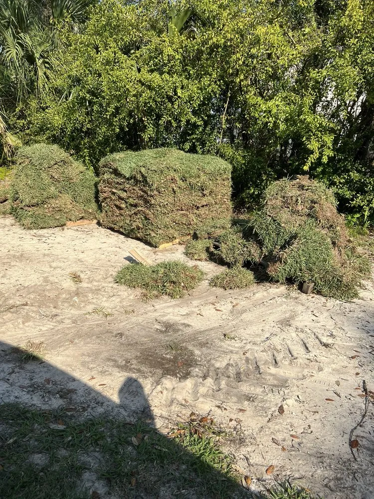 Professional landscape design for beautiful yards in Belle Glade, FL by America Sod