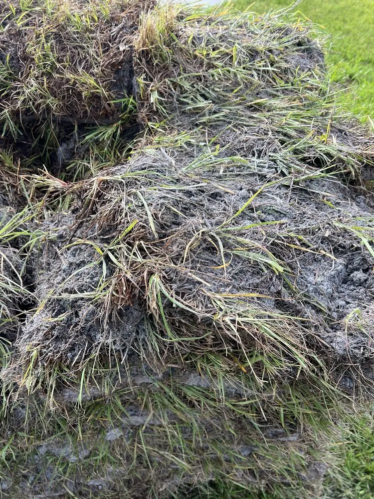 Trusted lawn mowing service near you across Belle Glade, FL - America Sod