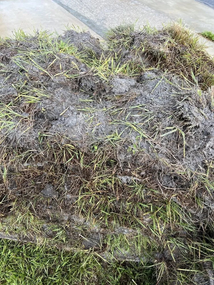 Expert landscaping services experts serving Belle Glade, FL - America Sod