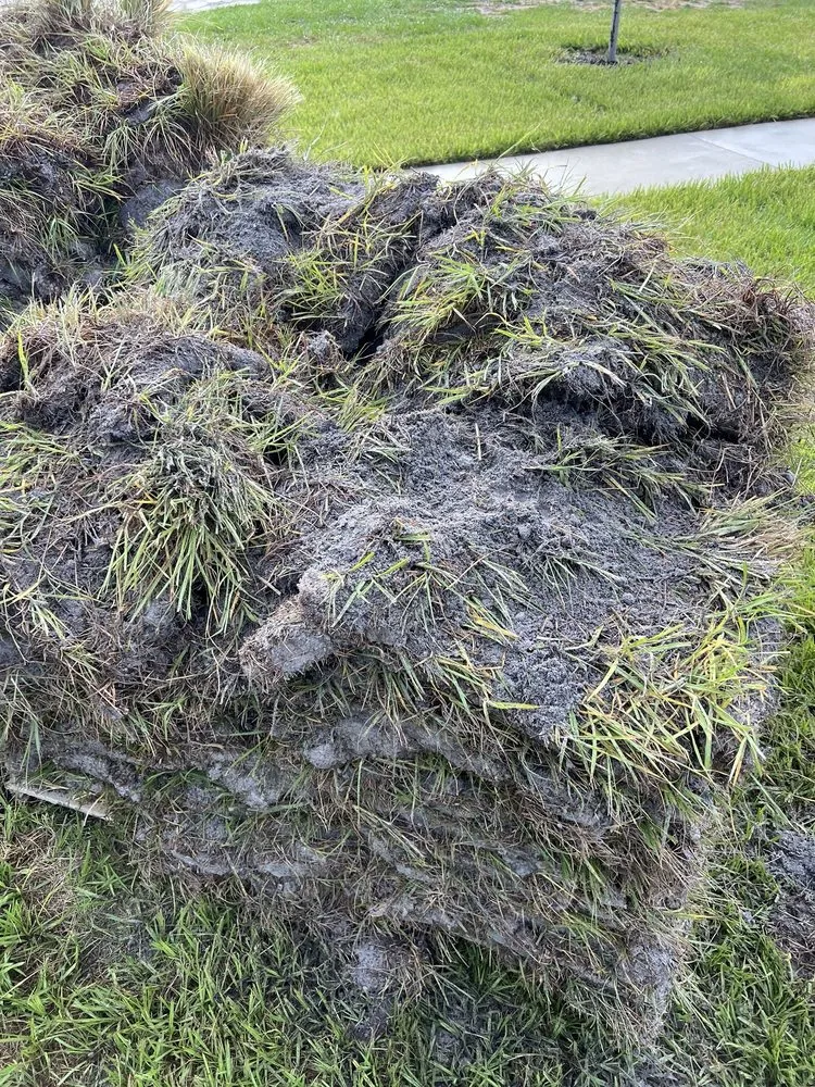 Professional lawn mowing service for residential properties in Belle Glade, FL by America Sod