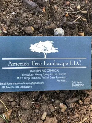 America Tree Landscape Logo