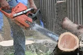 Professional landscaping services with custom design across East Hartford, CT - America Tree Lawn