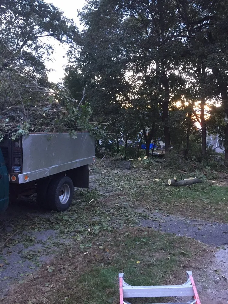 Expert landscape installation in East Hartford, CT by America Tree Lawn