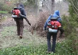 Reliable residential landscaping for homes across East Hartford, CT - America Tree Lawn