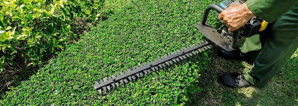 Trusted yard cleanup service for residential properties across East Hartford, CT - America Tree Lawn