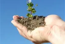 Professional garden landscaping with custom design in East Hartford, CT by America Tree Lawn