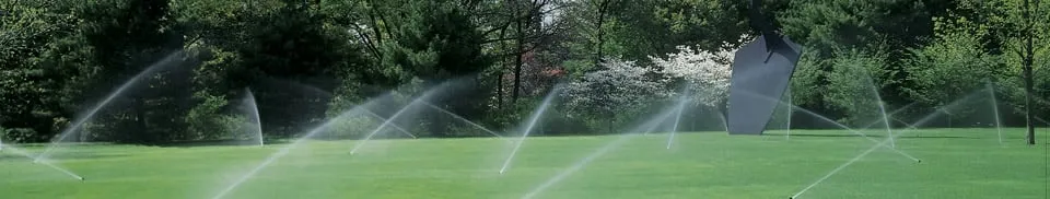 Reliable lawn care service for residential properties in Sachse, TX by American Aqua-Gators Llc