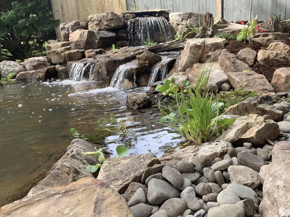 Affordable yard cleanup service for residential properties in Graham, NC by American Aquascapes