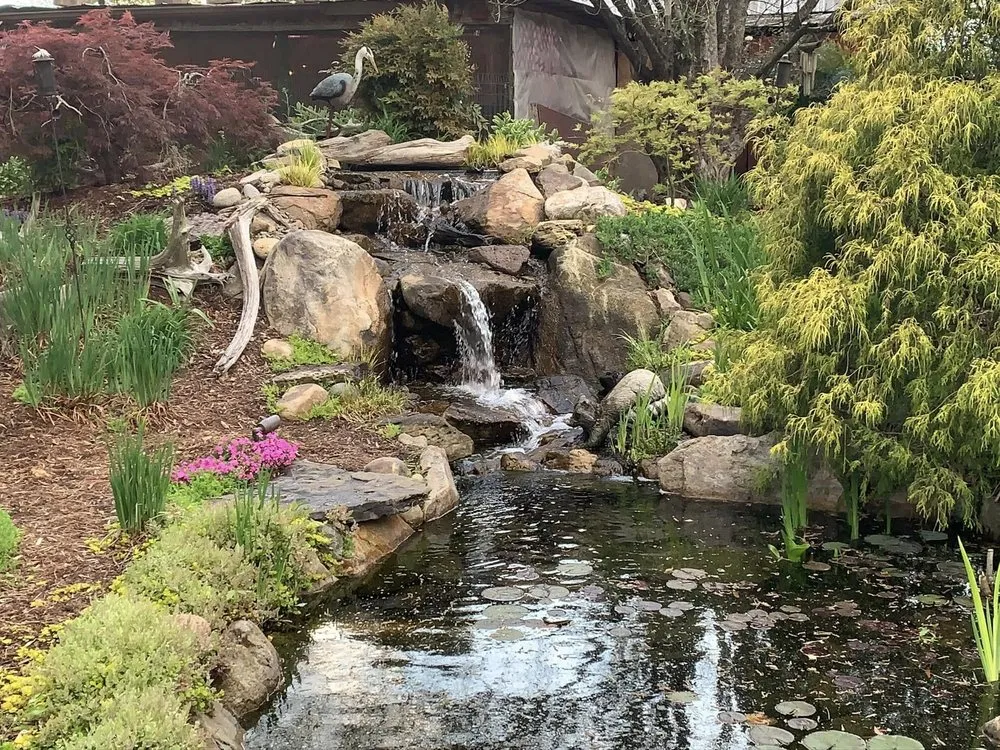 Custom yard maintenance in Graham, NC by American Aquascapes