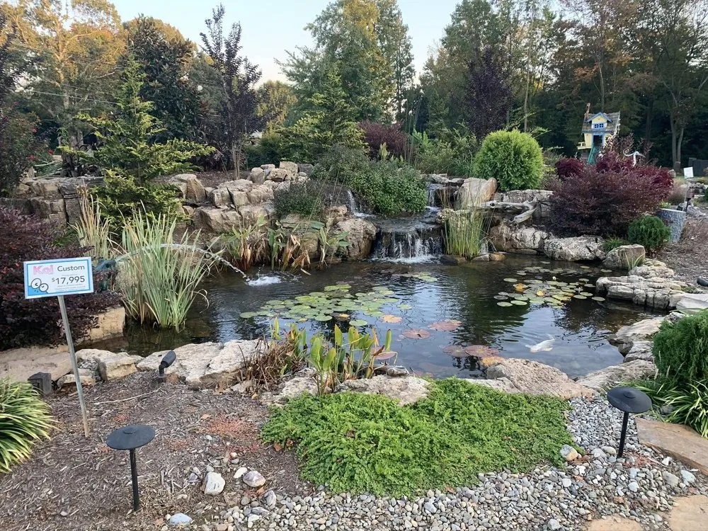 Professional yard maintenance experts serving Graham, NC - American Aquascapes