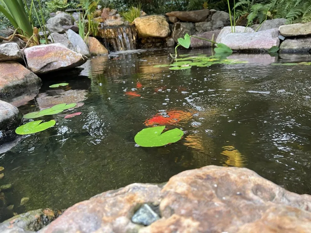 Affordable garden landscaping for residential properties in Graham, NC by American Aquascapes