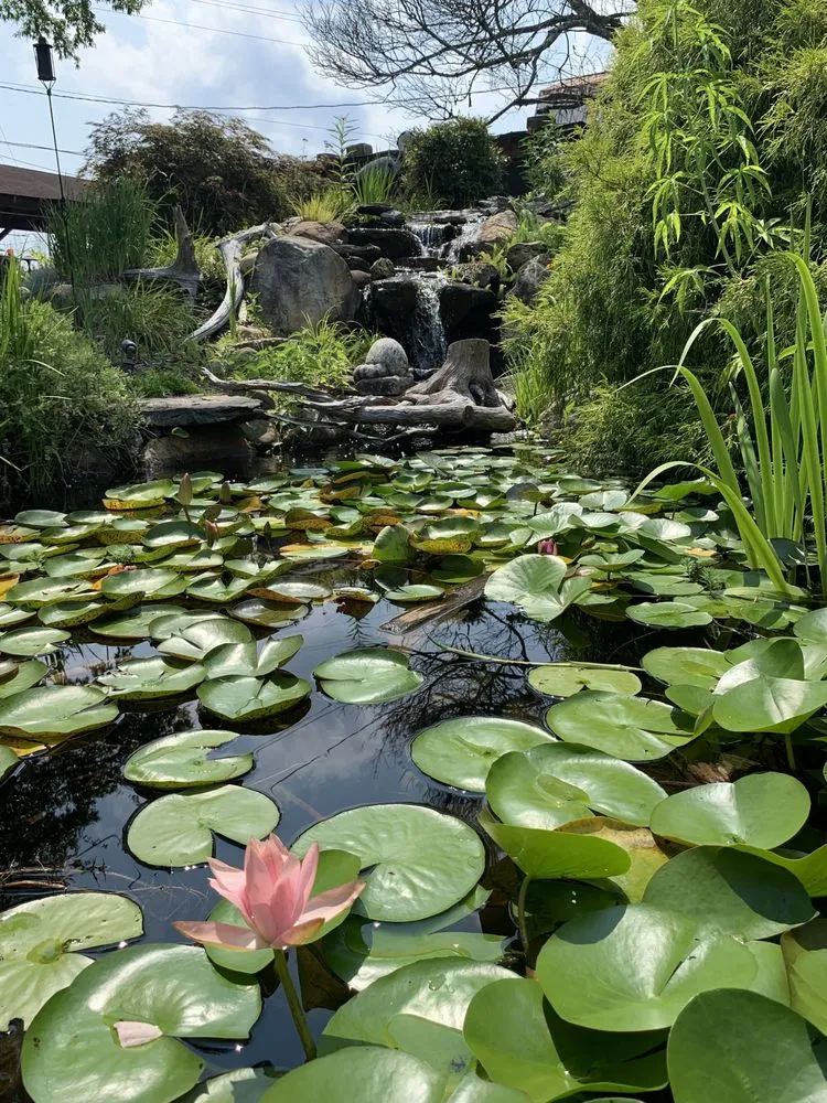 Custom landscaping services experts serving Graham, NC - American Aquascapes