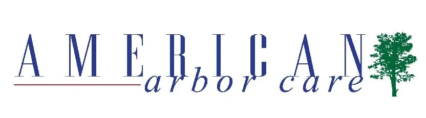 Custom yard maintenance in Lomita, CA - American Arbor Care