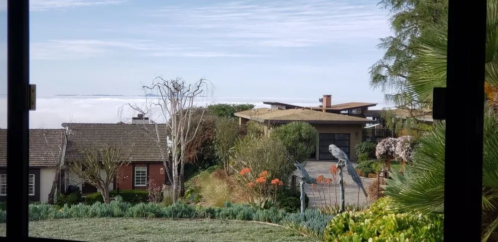 Custom landscape design with custom design in Lomita, CA by American Arbor Care