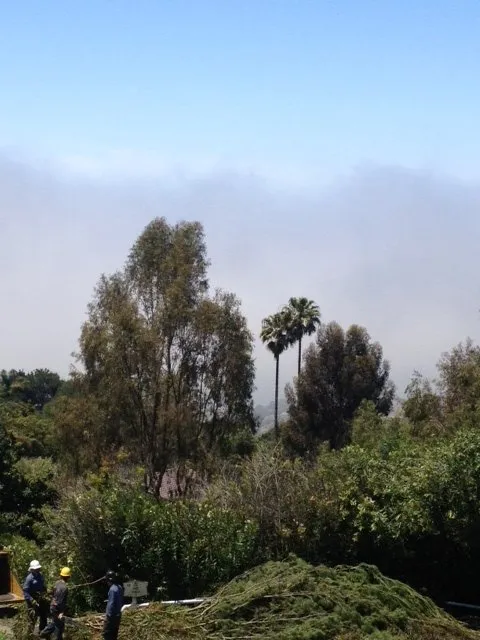 Expert lawn mowing service in Lomita, CA - American Arbor Care