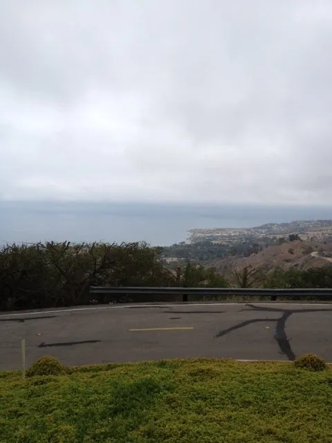 Expert residential landscaping in Lomita, CA - American Arbor Care