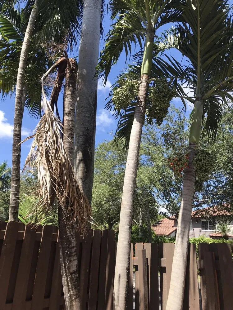 Top-rated garden landscaping in Pembroke Pines, FL by American Arbor Services