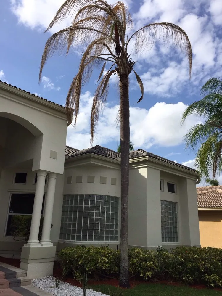 Expert lawn mowing service for beautiful yards across Pembroke Pines, FL - American Arbor Services