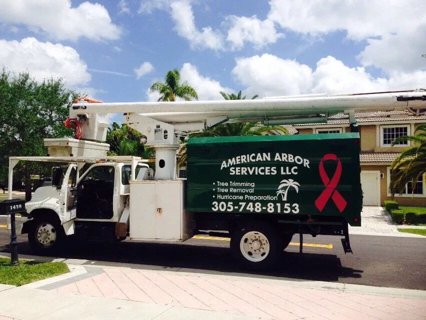 Trusted yard cleanup service experts serving Pembroke Pines, FL - American Arbor Services