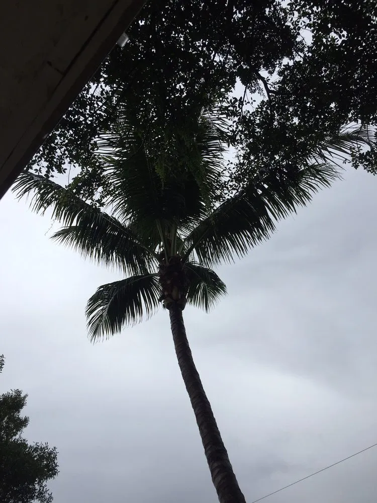 Expert landscaping services for outdoor upgrades in Pembroke Pines, FL by American Arbor Services