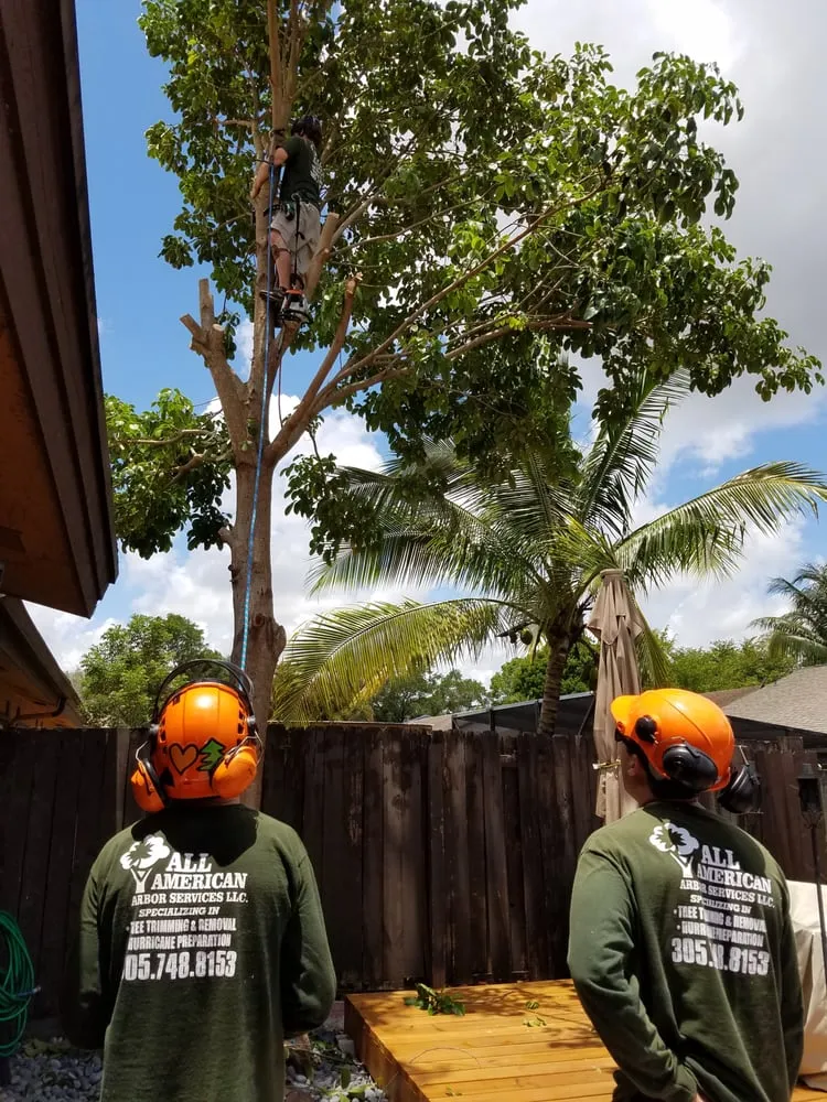 Local landscape installation near you in Pembroke Pines, FL by American Arbor Services