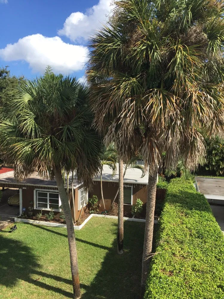 Reliable yard maintenance in Pembroke Pines, FL by American Arbor Services