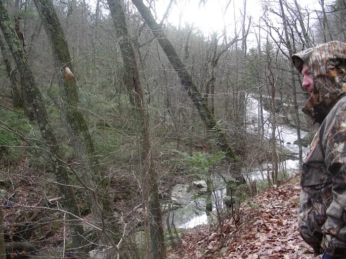 Trusted residential landscaping in Pembroke Pines, FL - American Arbor Services