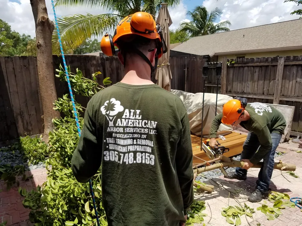Expert residential landscaping experts serving Pembroke Pines, FL - American Arbor Services