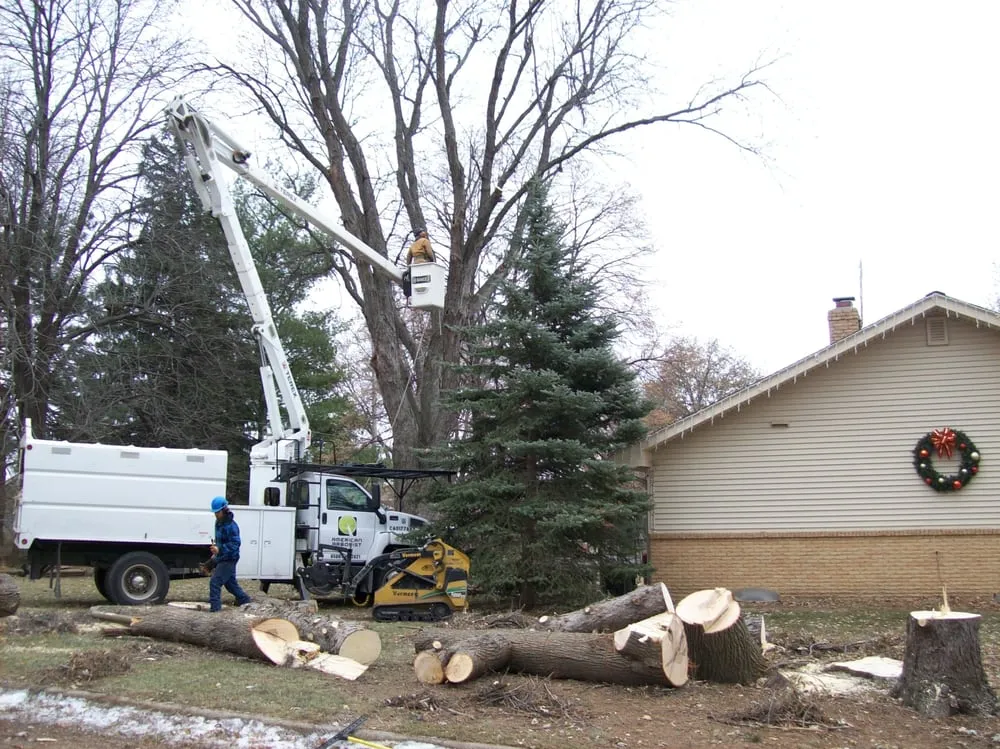 Professional lawn mowing service for year-round maintenance in Omaha, NE by American Arborist