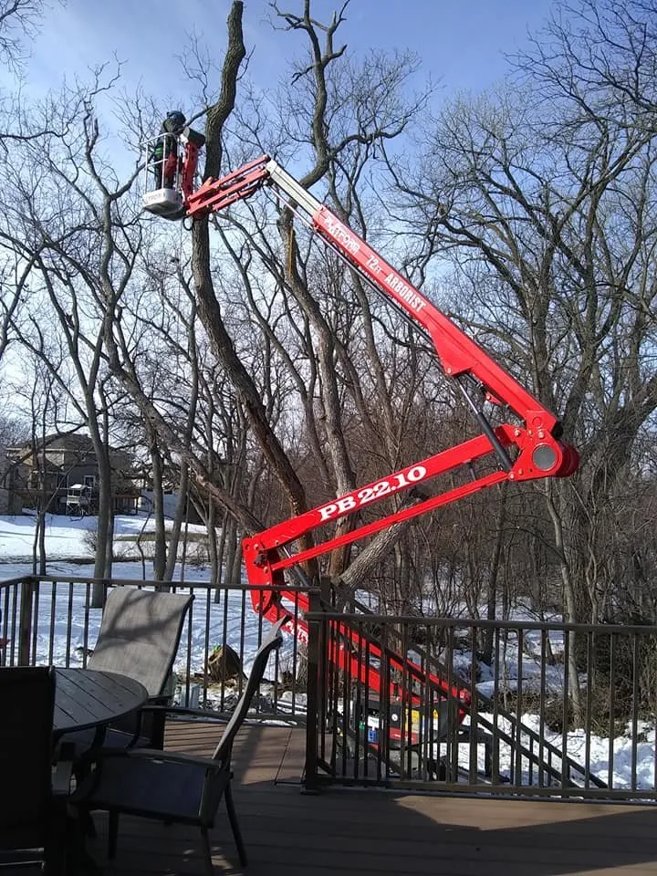 Expert landscape installation with custom design across Omaha, NE - American Arborist