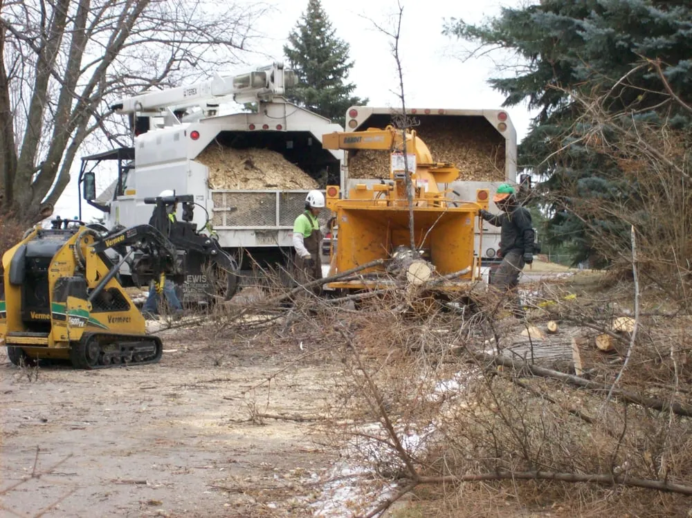 Professional yard maintenance near you in Omaha, NE by American Arborist