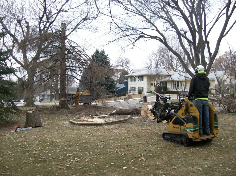 Expert yard maintenance in Omaha, NE by American Arborist