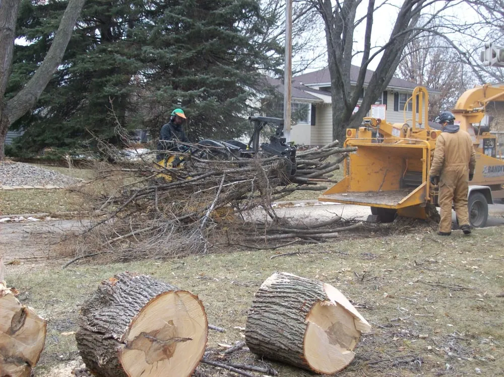 Trusted garden landscaping in Omaha, NE by American Arborist