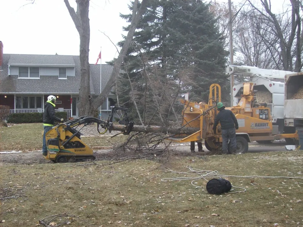 Reliable yard cleanup service for residential properties across Omaha, NE - American Arborist