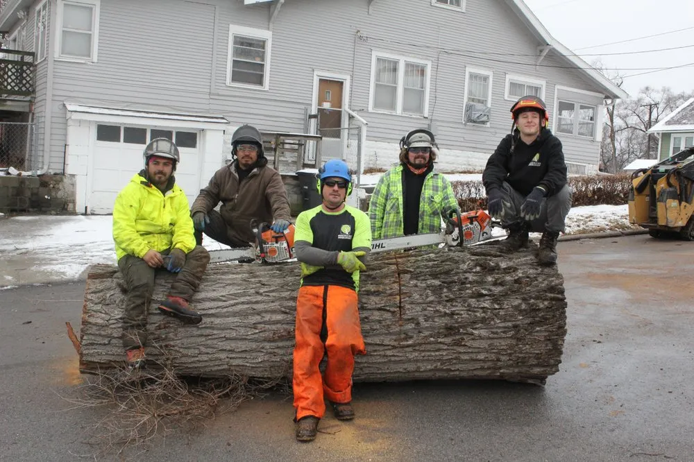 Professional yard cleanup service experts serving Omaha, NE - American Arborist