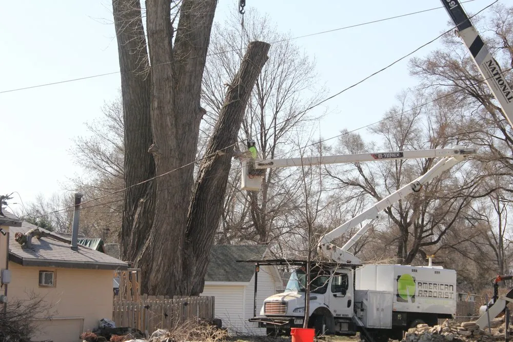 Reliable lawn care service in Omaha, NE by American Arborist