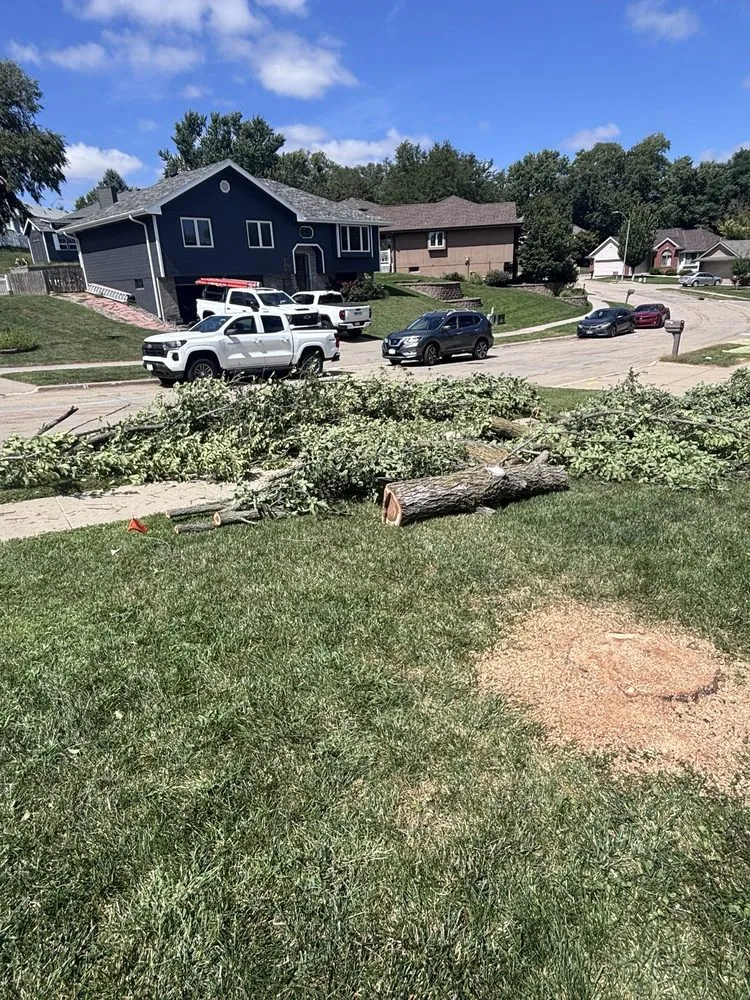 Expert residential landscaping for year-round maintenance across Omaha, NE - American Arborist