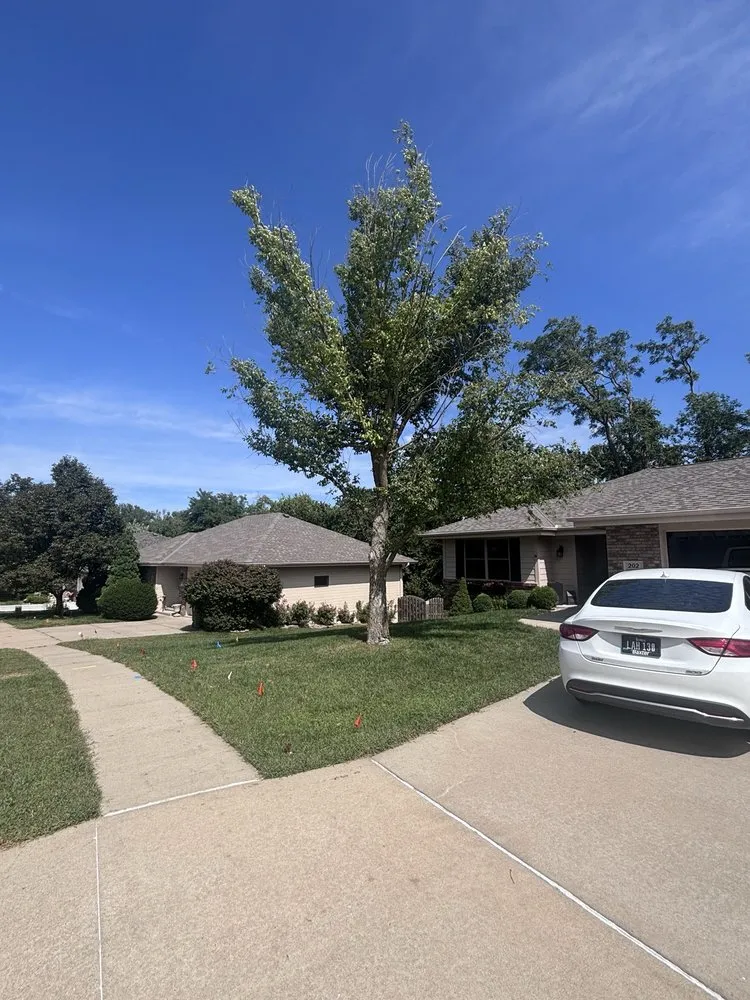 Trusted residential landscaping for beautiful yards across Omaha, NE - American Arborist