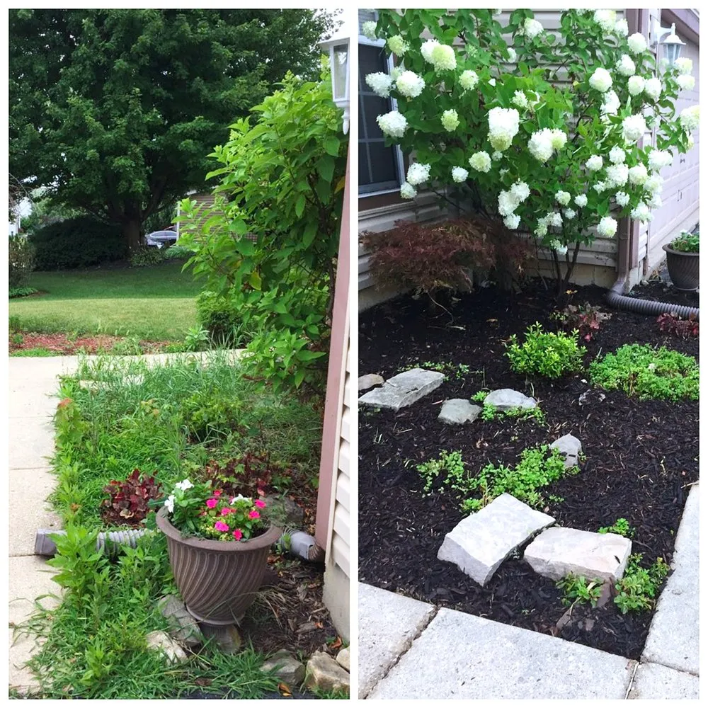 Custom yard cleanup service in Geneva, IL - American Artists Landscaping