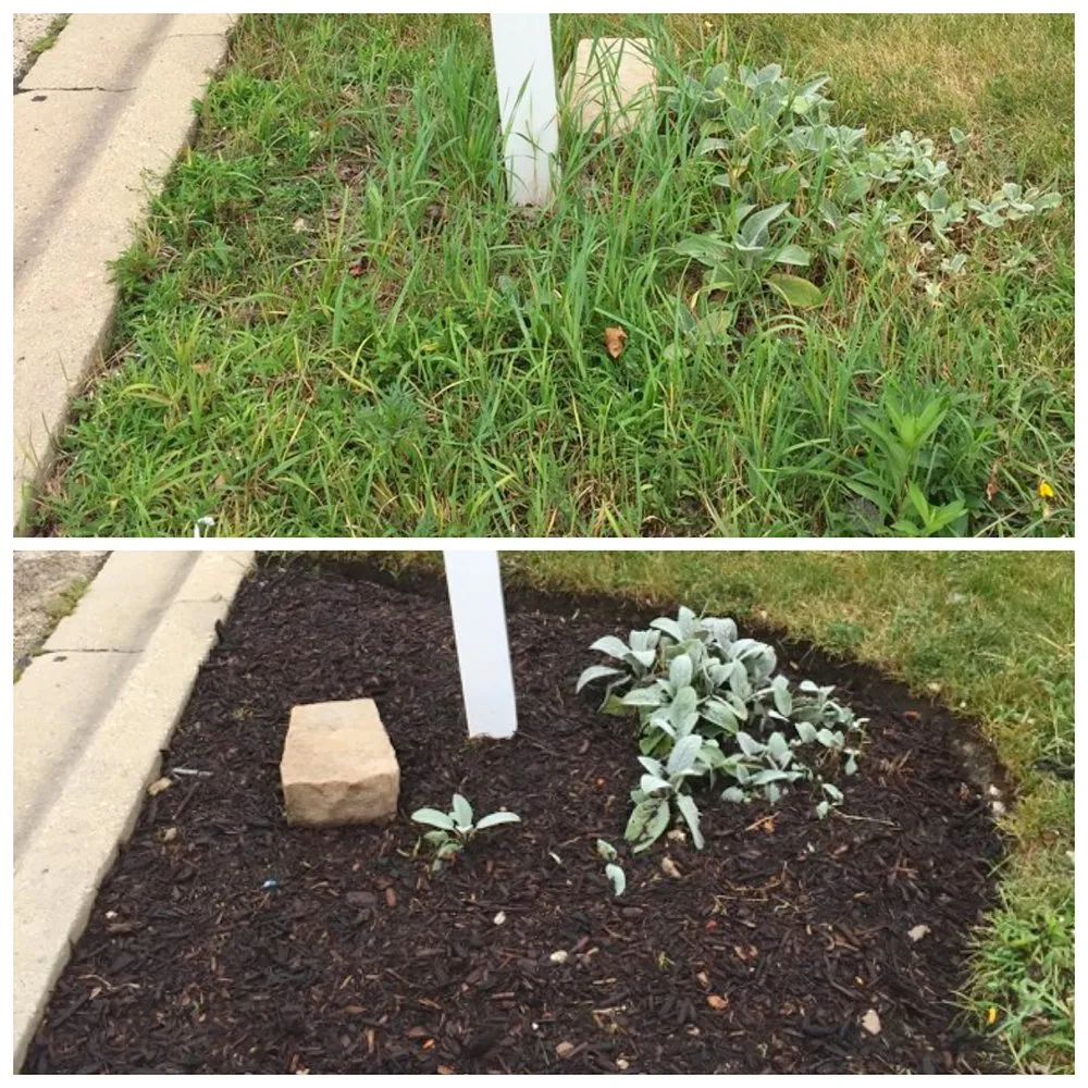 Top-rated residential landscaping with custom design in Geneva, IL by American Artists Landscaping