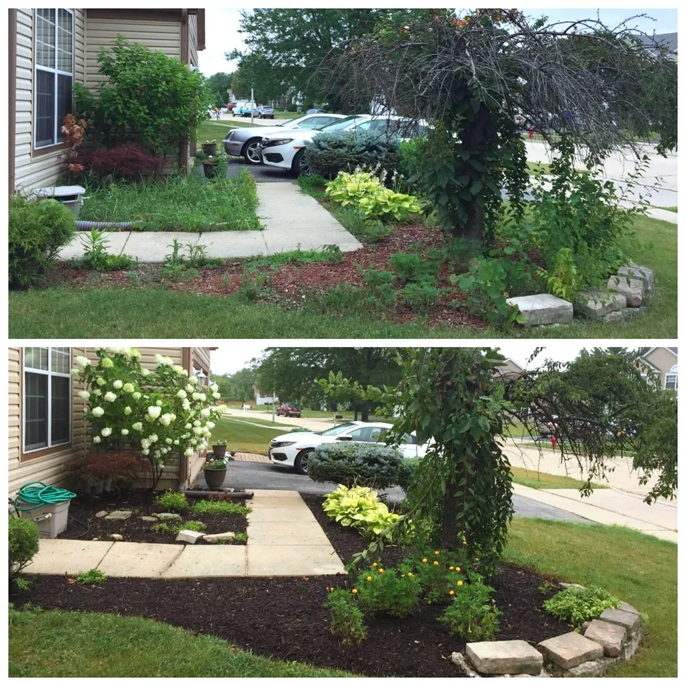 Affordable lawn care service for year-round maintenance across Geneva, IL - American Artists Landscaping